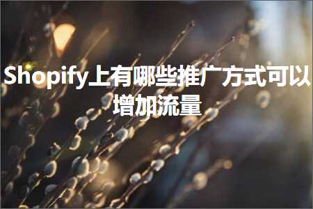 跨境电商知识:Shopify上有哪些推广方式可以增加流量